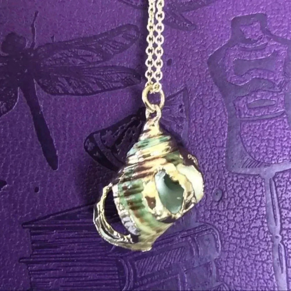 Real Seashell 1 Gold Plated Necklace NWT - Picture 1 of 3
